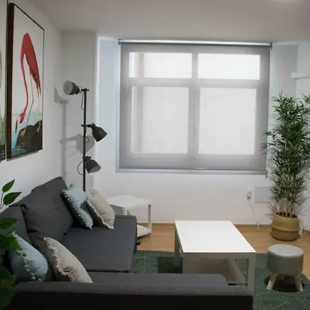 Apartment Apartamento Reyes Catolicos